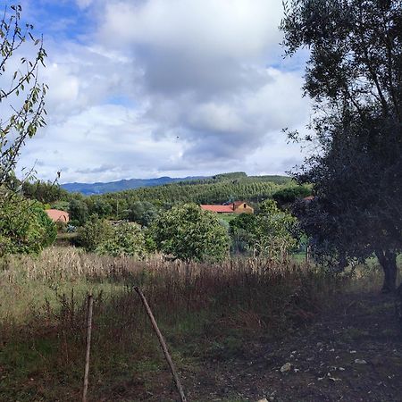 Alojamento Casa Do Cabeco Alombada Macinhata do Vouga Εξωτερικό φωτογραφία