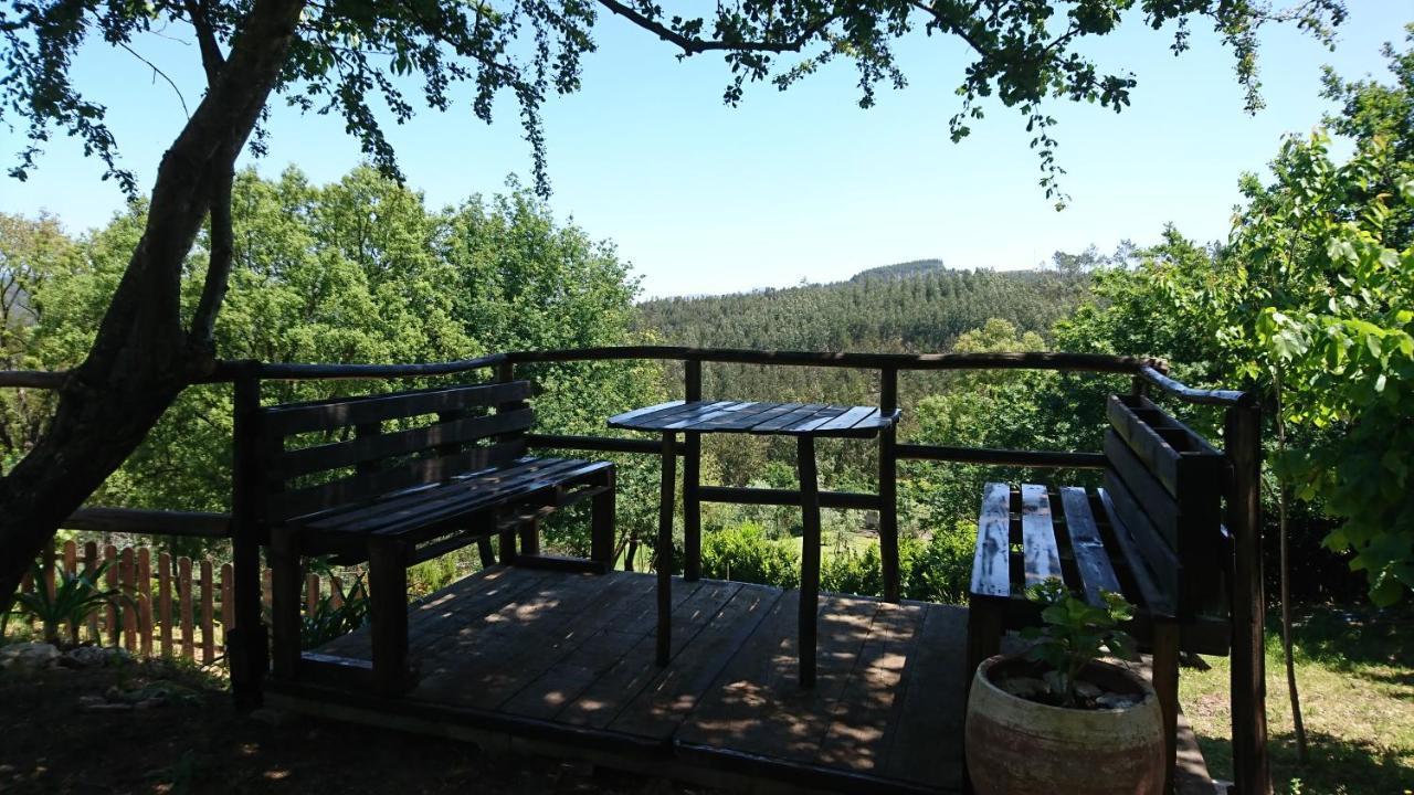 Alojamento Casa Do Cabeco Alombada Macinhata do Vouga Εξωτερικό φωτογραφία
