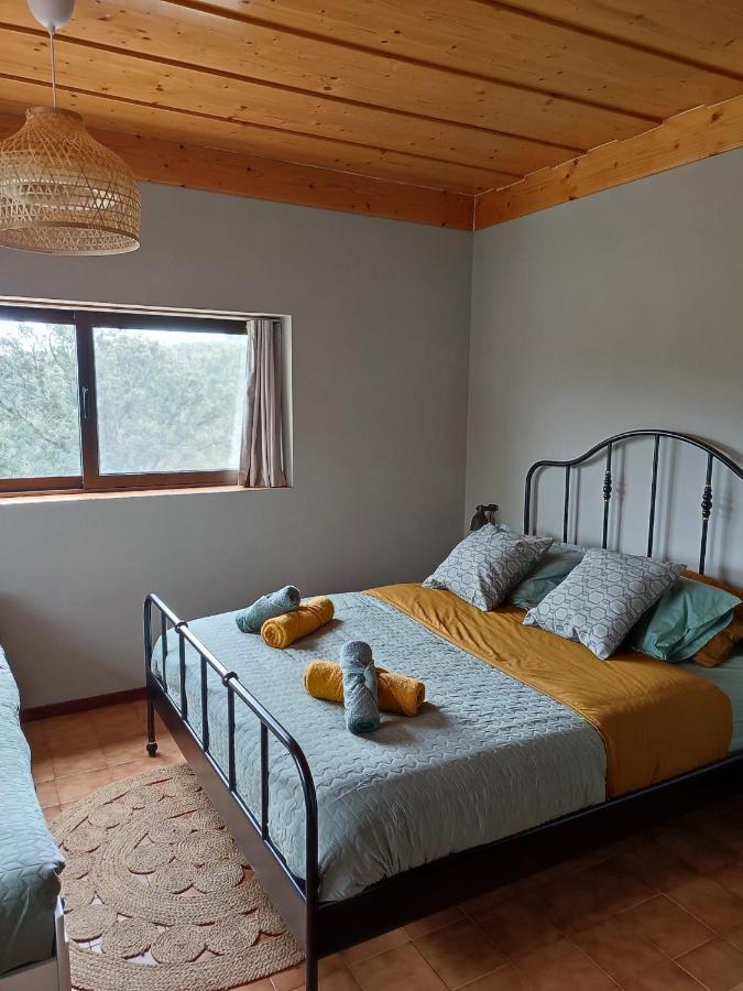 Alojamento Casa Do Cabeco Alombada Macinhata do Vouga Εξωτερικό φωτογραφία