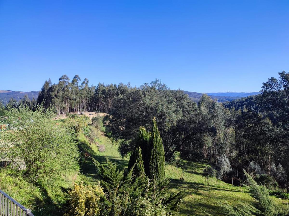 Alojamento Casa Do Cabeco Alombada Macinhata do Vouga Εξωτερικό φωτογραφία
