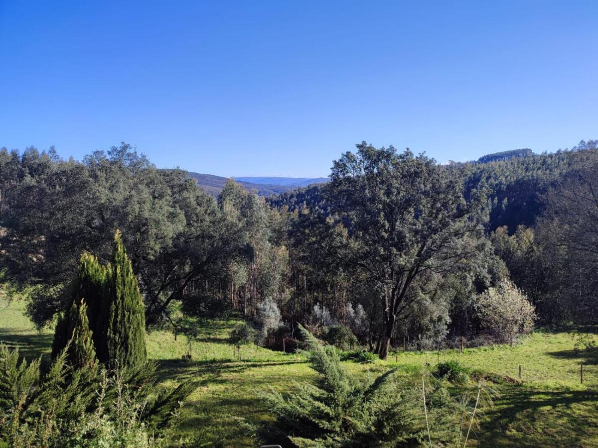 Alojamento Casa Do Cabeco Alombada Macinhata do Vouga Εξωτερικό φωτογραφία