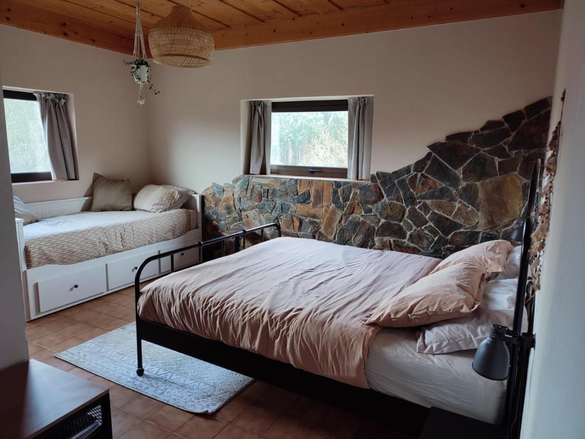 Alojamento Casa Do Cabeco Alombada Macinhata do Vouga Εξωτερικό φωτογραφία